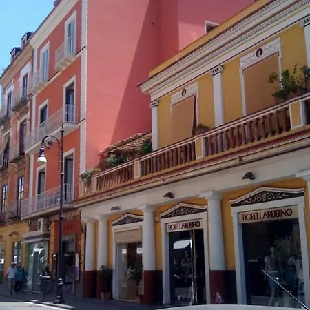 Guest house New Domus 3*